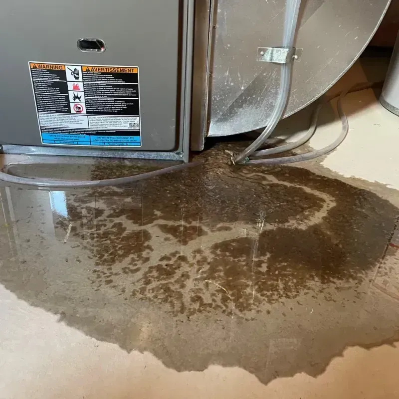 Appliance Leak Cleanup in Alamogordo, NM